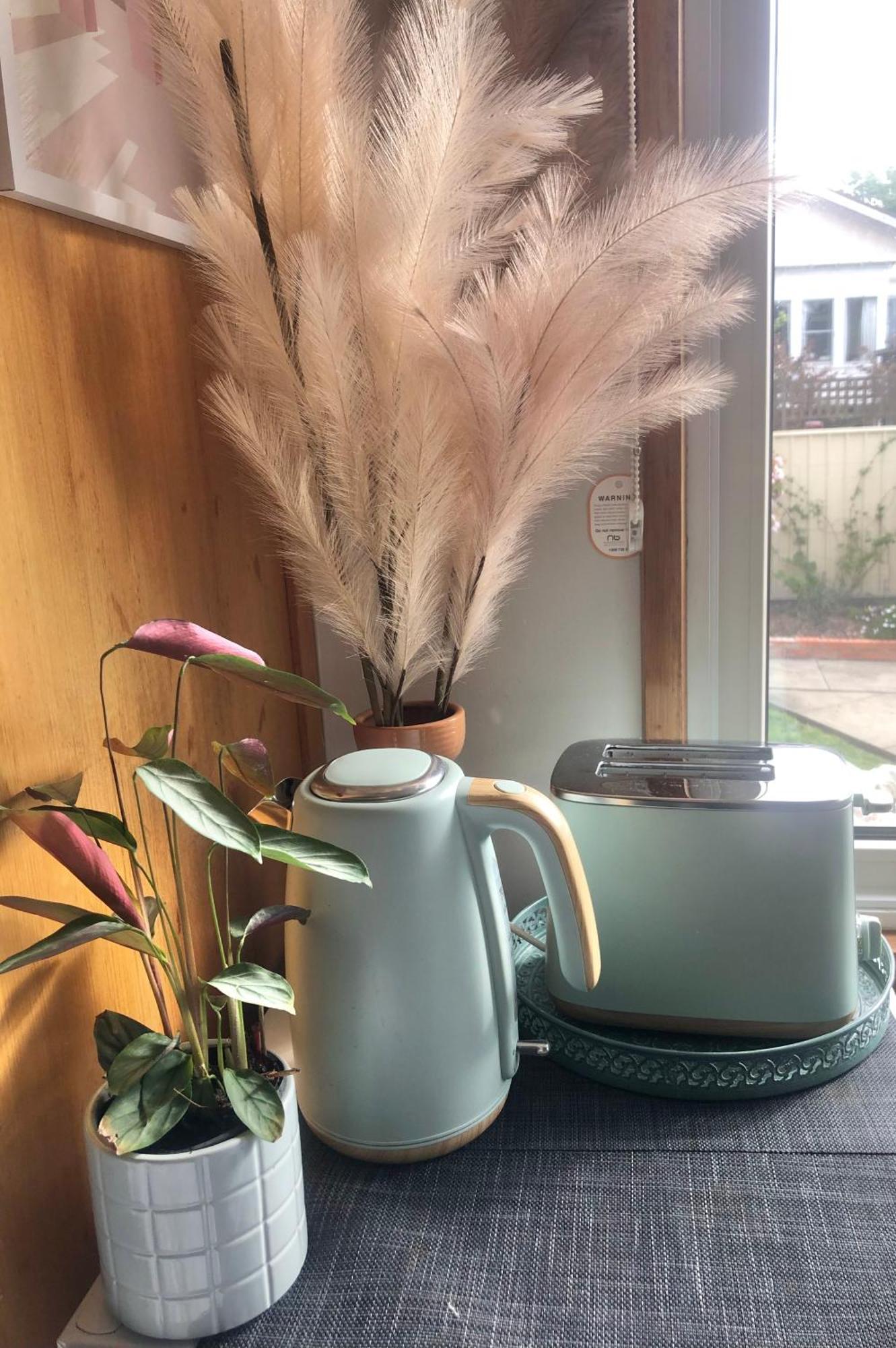 Lovely Budget Vegan Homestay Launceston Eksteriør billede